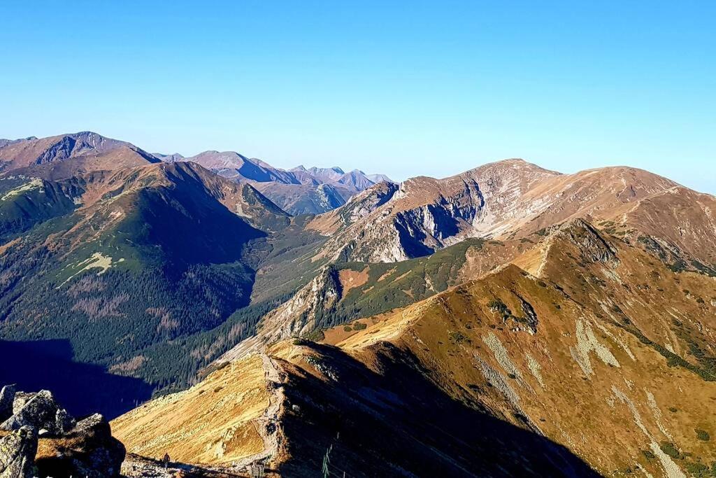 Domek Goralski Parzenica Kościelisko Exteriör bild